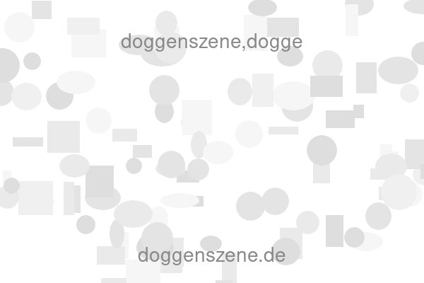 doggenszene,dogge