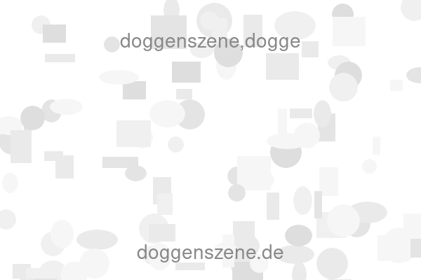 doggenszene,dogge