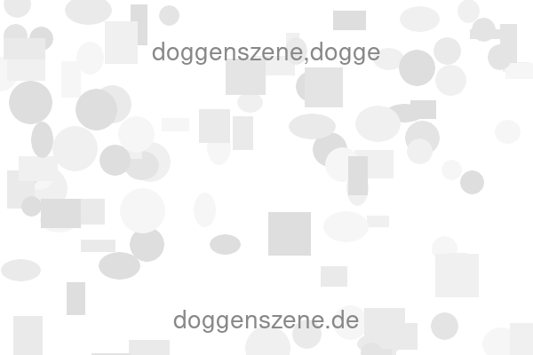 doggenszene,dogge