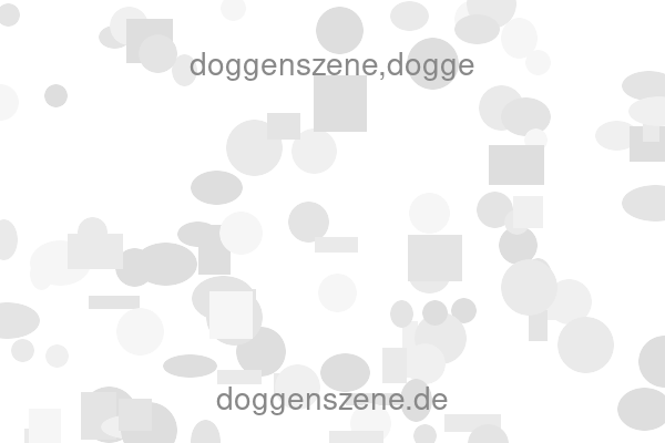 doggenszene,dogge