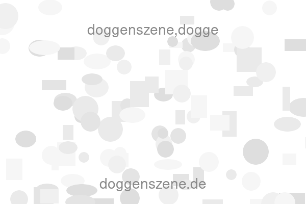 doggenszene,dogge