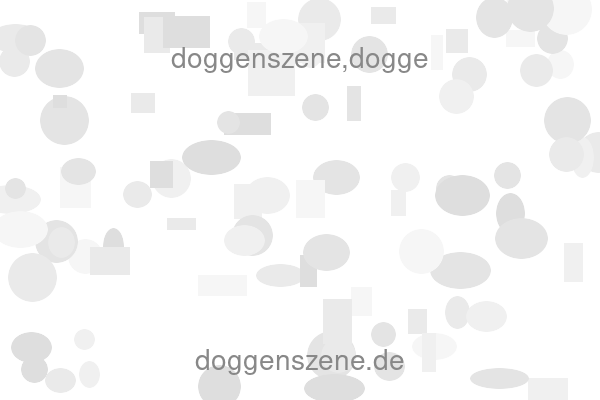 doggenszene,dogge