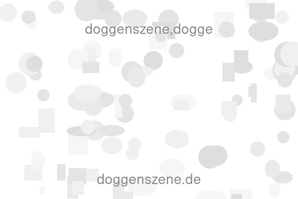 doggenszene,dogge