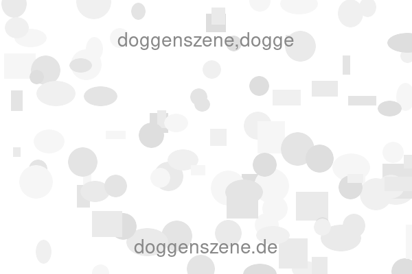 doggenszene,dogge