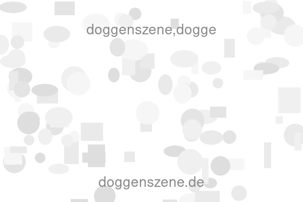 doggenszene,dogge